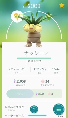 pokego035.jpg