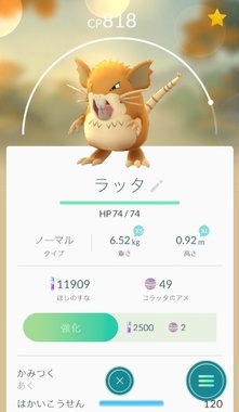 pokego036.jpg