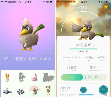 pokego037.jpg