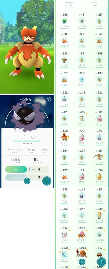 pokego039.jpg