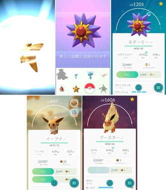 pokego040.jpg