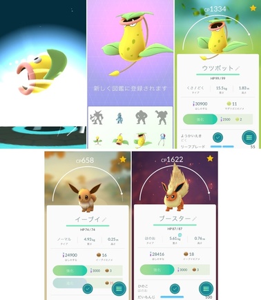 pokego041.jpg