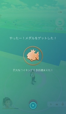 pokego042.jpg