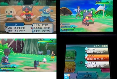 pokesm006.jpg