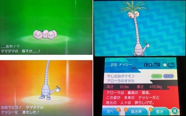 pokesm028.jpg