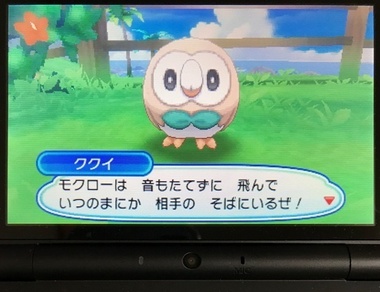 pokeusum02.jpg